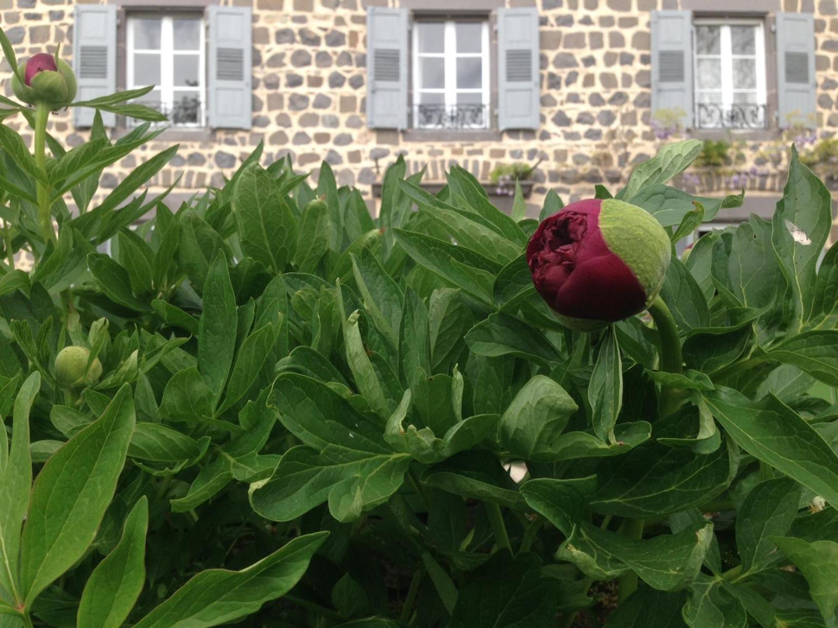 Alojamento de Acomodação e Pequeno-almoço Les Jardins D'anna - D'hôtes Tapon